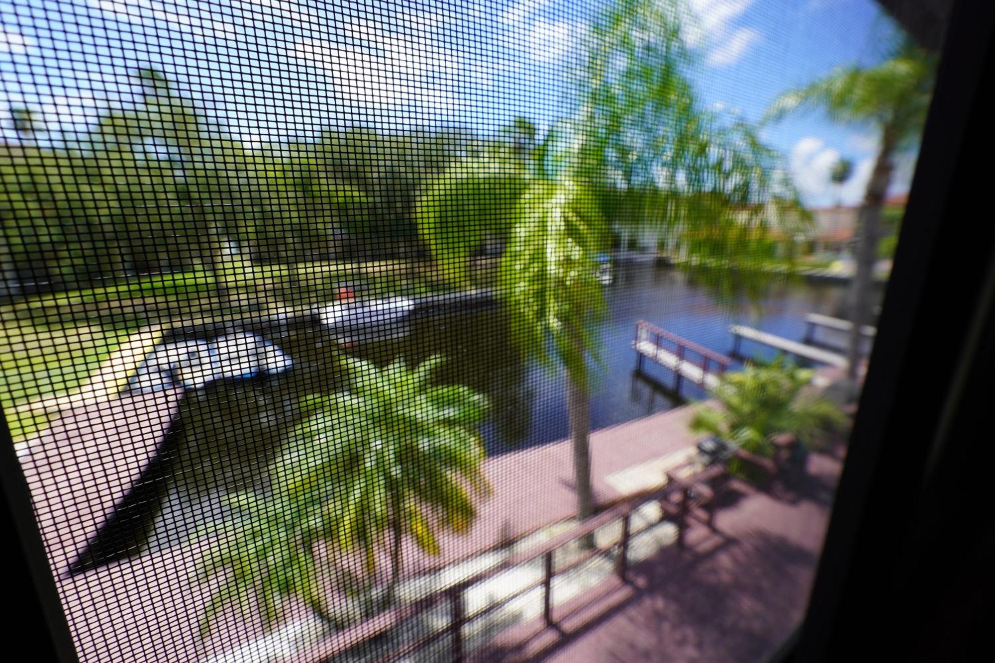 Florida Condos On Lake Tarpon Palm Harbor Eksteriør bilde