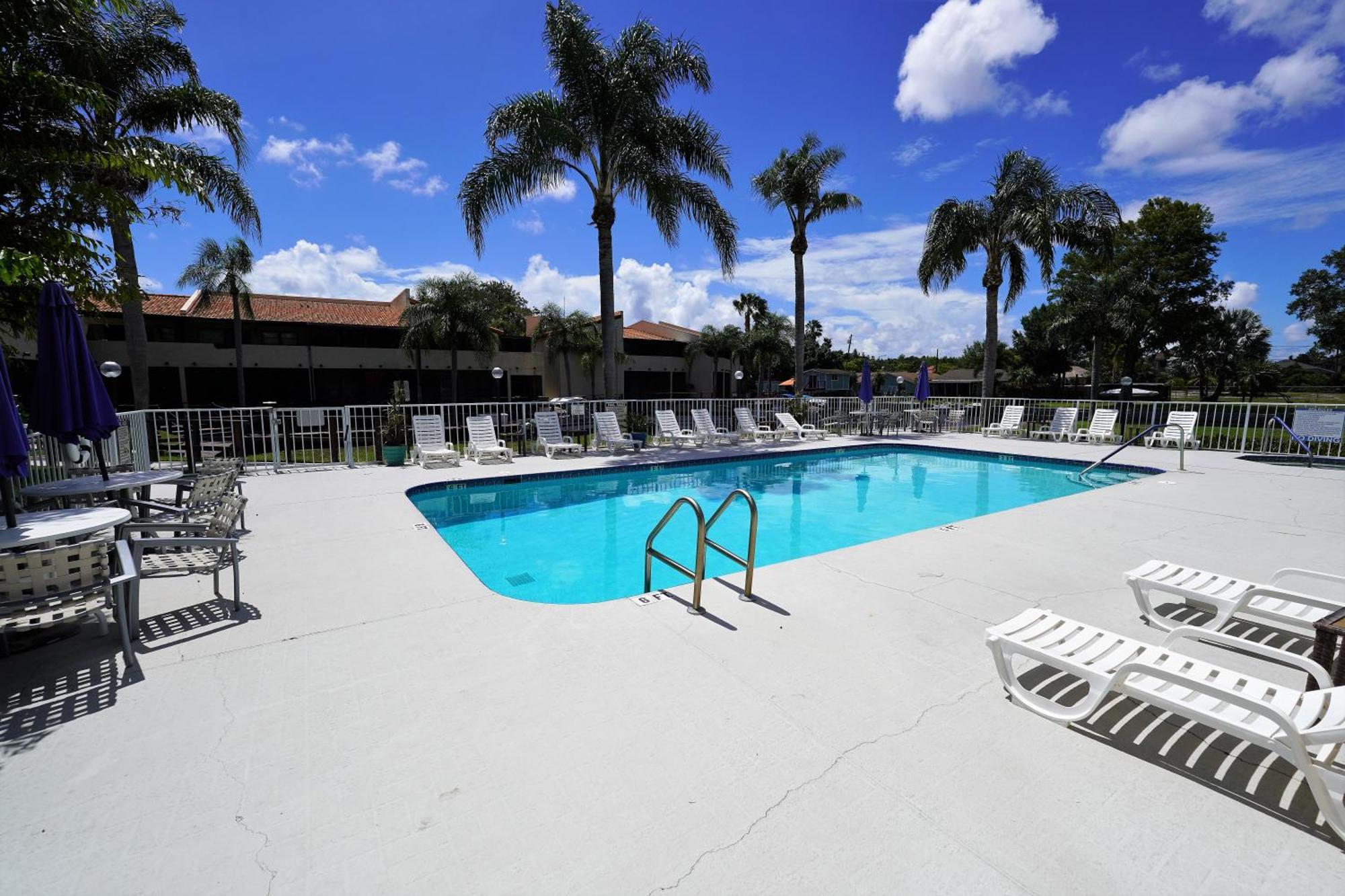 Florida Condos On Lake Tarpon Palm Harbor Eksteriør bilde